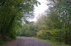valea-fagilor